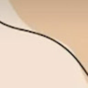 Meet your Posher, Roger